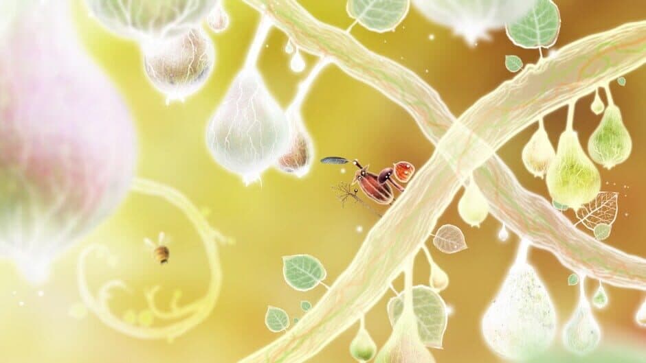 Botanicula screenshot 5