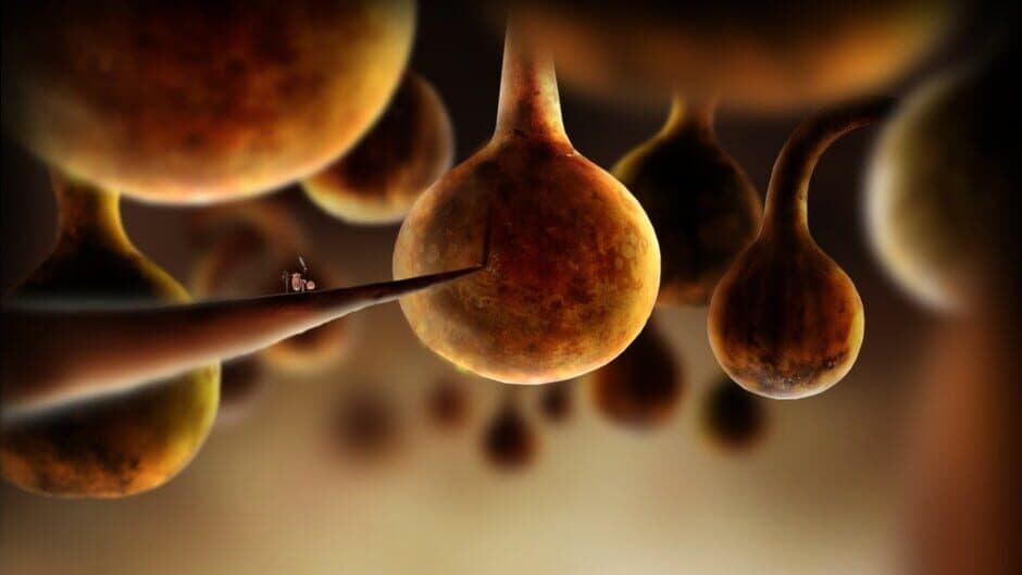 Botanicula screenshot 6
