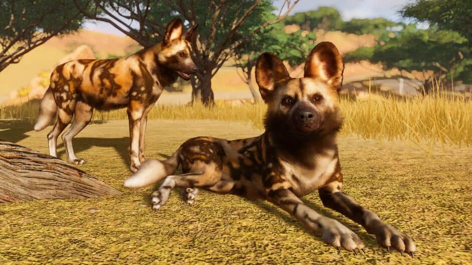 Planet Zoo screenshot 10