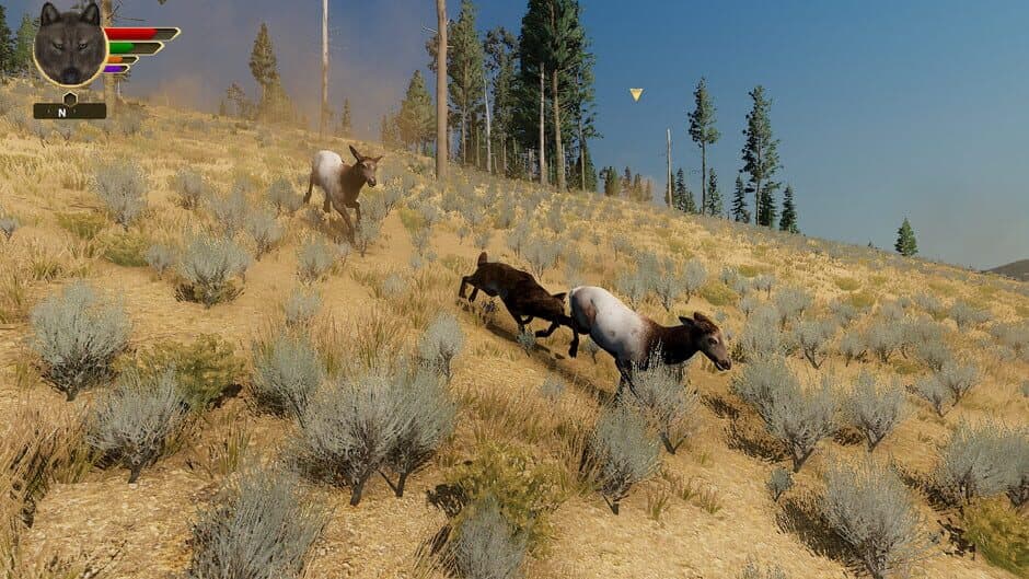 WolfQuest: Anniversary Edition screenshot 7