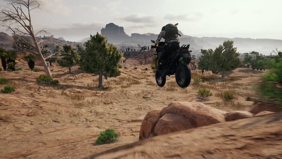 PUBG: BATTLEGROUNDS screenshot 9