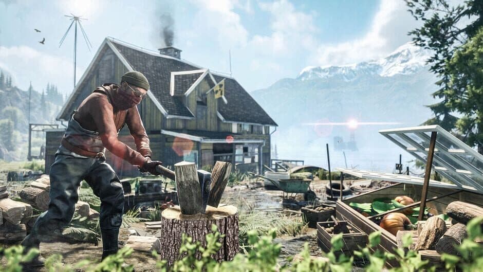 Vigor screenshot 5