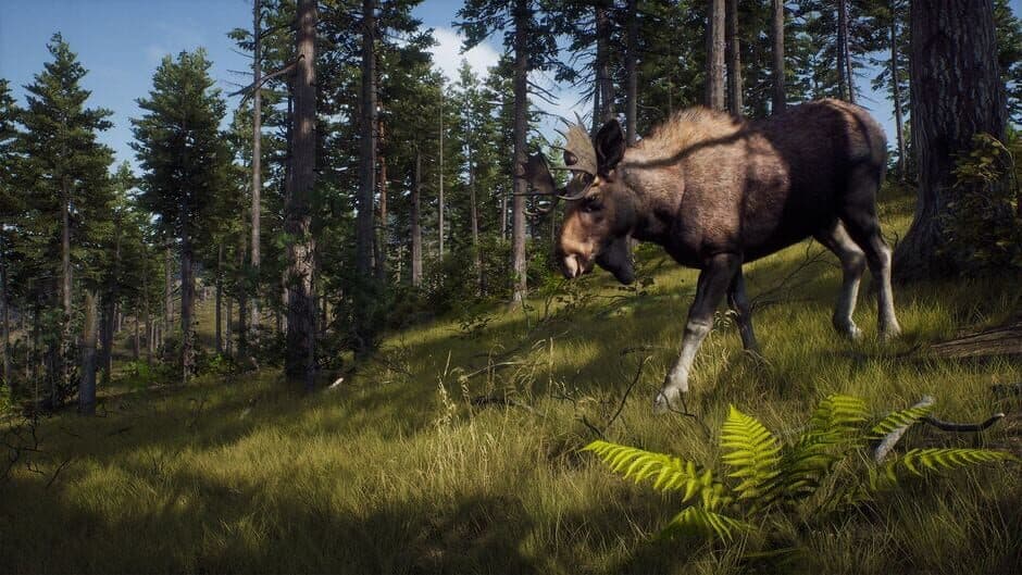 Way of the Hunter screenshot 11
