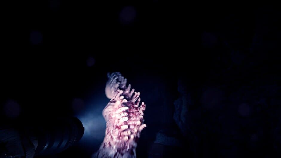 Sons Of The Forest screenshot 13