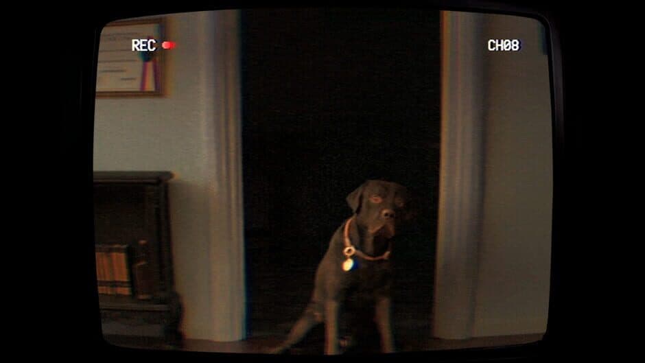 TELEFORUM screenshot 5