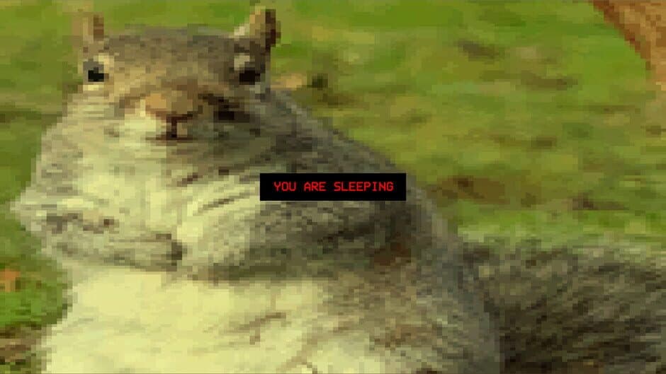 Squirrel Stapler screenshot 2