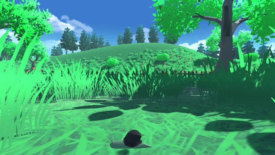 Snail Simulator screenshot 7