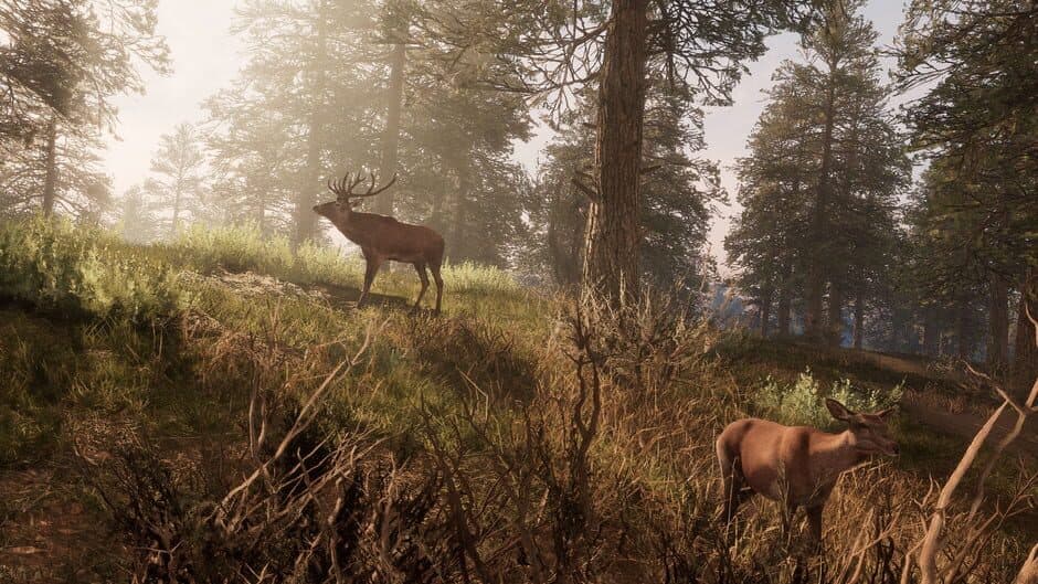 A Twisted Path to Renown screenshot 17