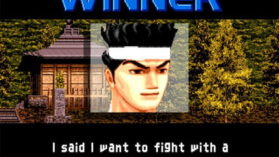 Virtua Fighter™ 2 screenshot 3
