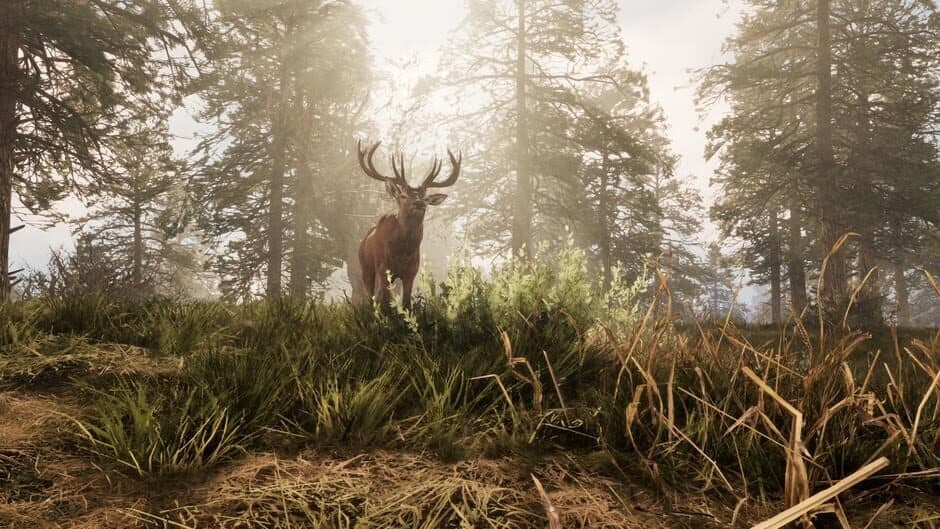 A Twisted Path to Renown screenshot 2