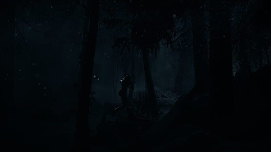 Until Dawn™ screenshot 4