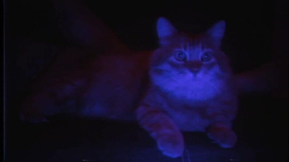 PUSS! screenshot 16