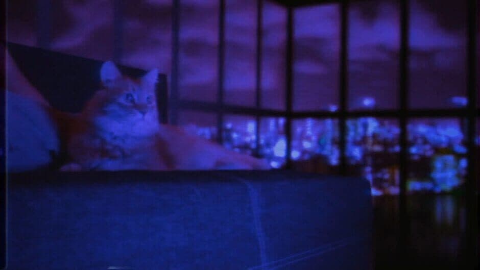 PUSS! screenshot 17