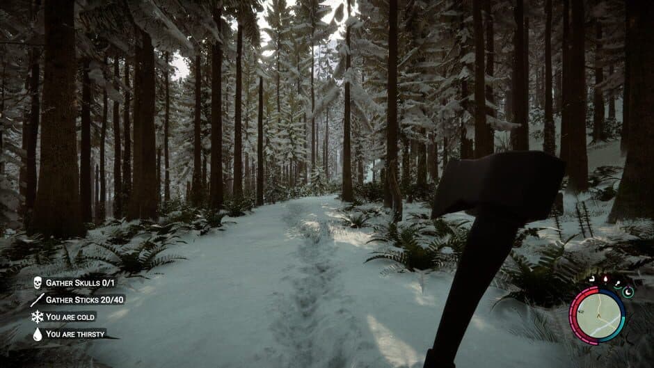 Sons Of The Forest screenshot 10