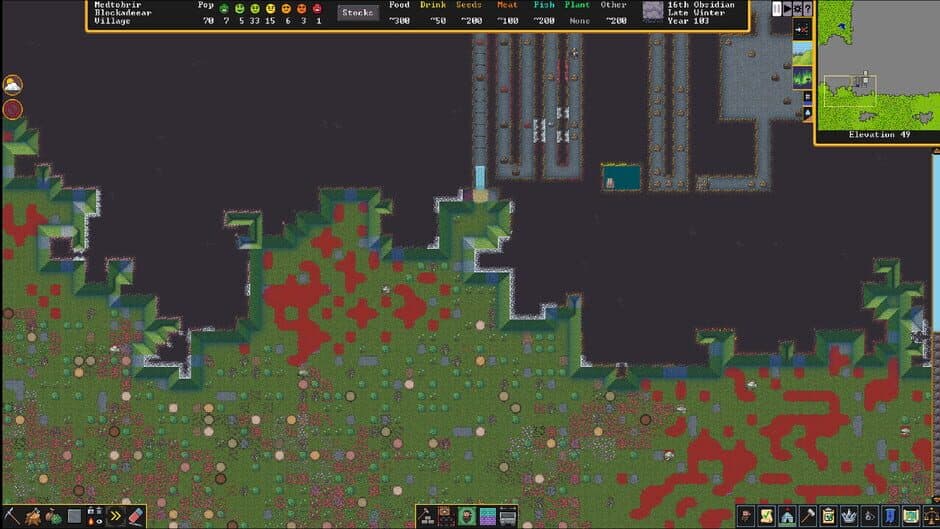 Dwarf Fortress screenshot 6